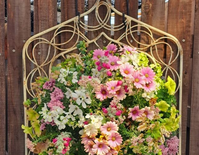 Manabi ハンギング・寄せ植え編(山室)