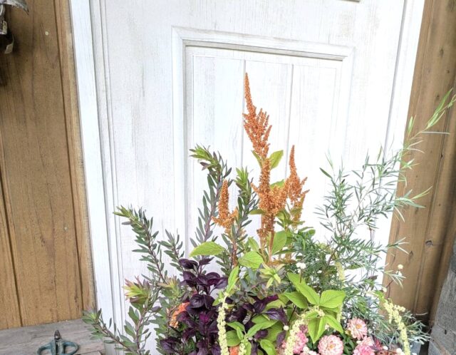 【特別企画】いっちゃんのワンランクアップ講座(石川)