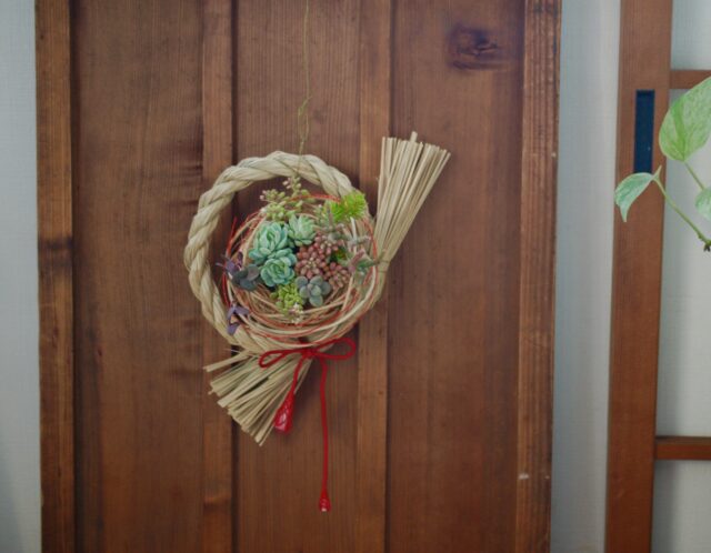 平野純子の多肉講座