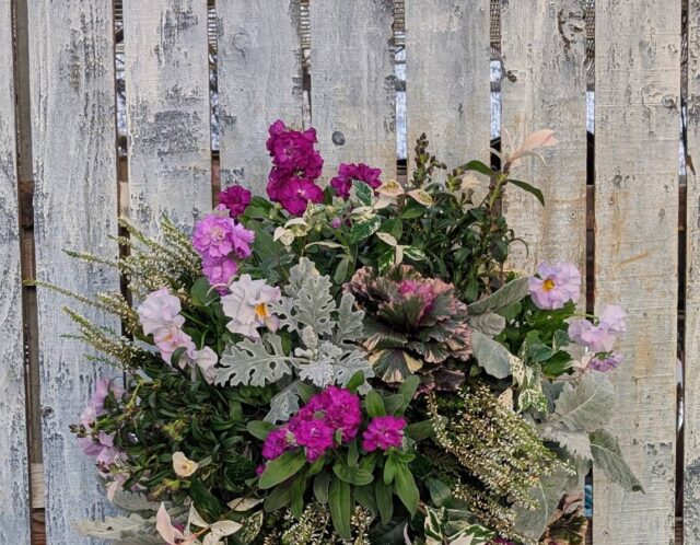 麗しのハンギングバスケット講座(北)