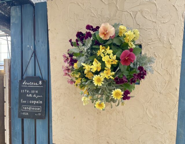 初心者にも安心！たっつんと作る秋のハンギングバスケット講座(YOKOHAMA男子・戸田)