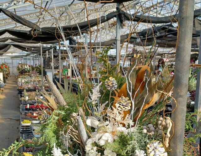 【年末年始】休園のお知らせ