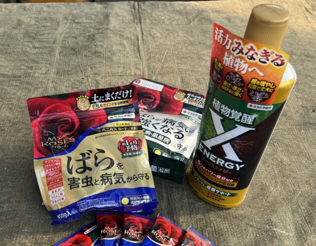 【キャンペーン実施中！】バラのメンテナンス