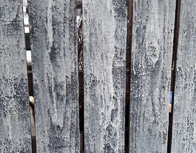 【特別講座】耕太郎の背景講座（田代）