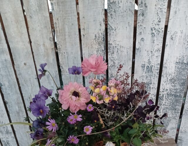 【新講座】初心者にも安心！たっつんと作る寄せ植えバスケット(YOKOHAMA男子・戸田)