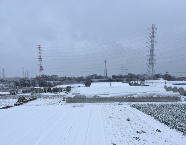 【2/8】臨時休園お知らせ