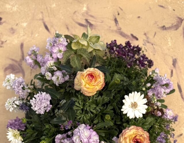 麗しのハンギングバスケット講座(北)