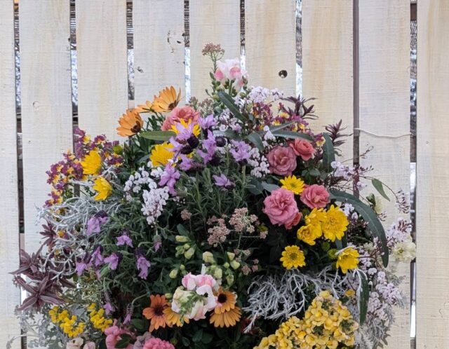 麗しのハンギングバスケット講座(北)