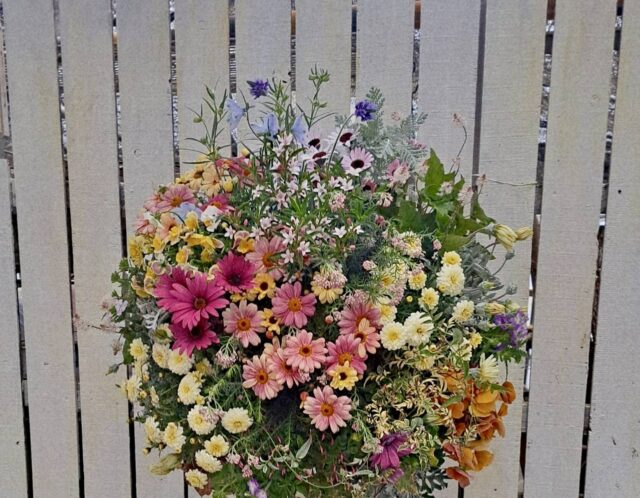 Manabi ハンギング・寄せ植え編(山室)