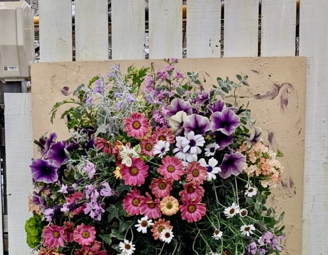 麗しのハンギングバスケット講座(北)