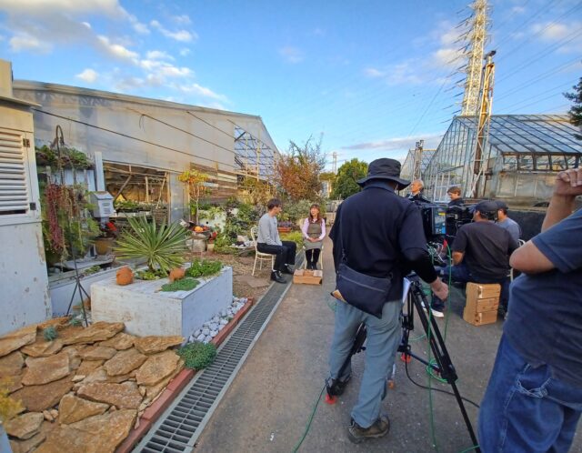 【NHK趣味の園芸】鉢植えで楽しむ球根の収録